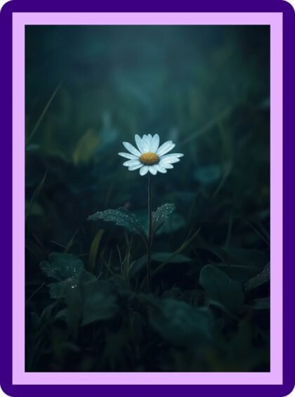 Lone Daisy Dewy Night Garden Aesthetic Poster
