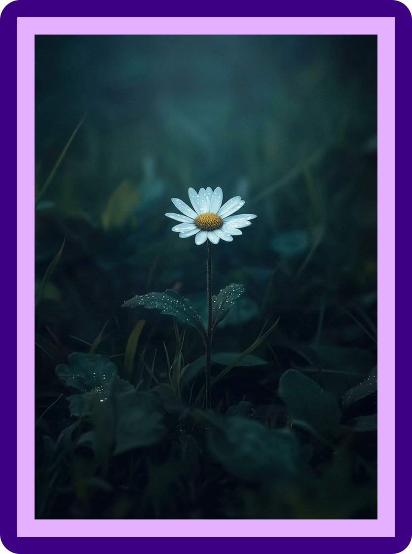 Lone Daisy Dewy Night Garden Aesthetic Poster