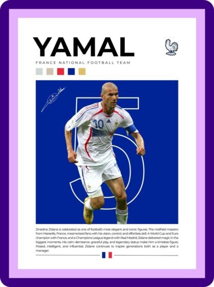 Zinedine Zidane France National Team Legend Poster