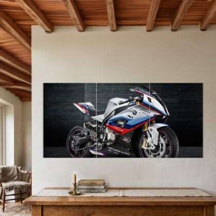 BMW S1000RR M Side Profile Split Poster