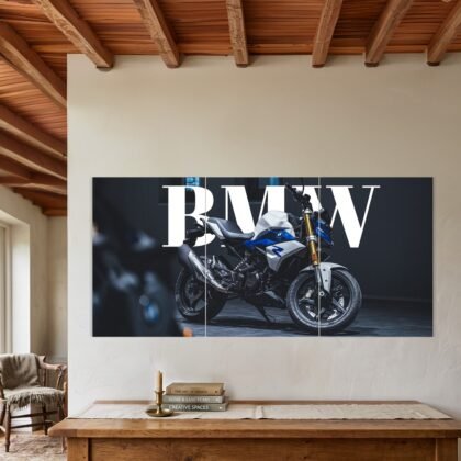 BMW S1000R Naked Bike Split Poster