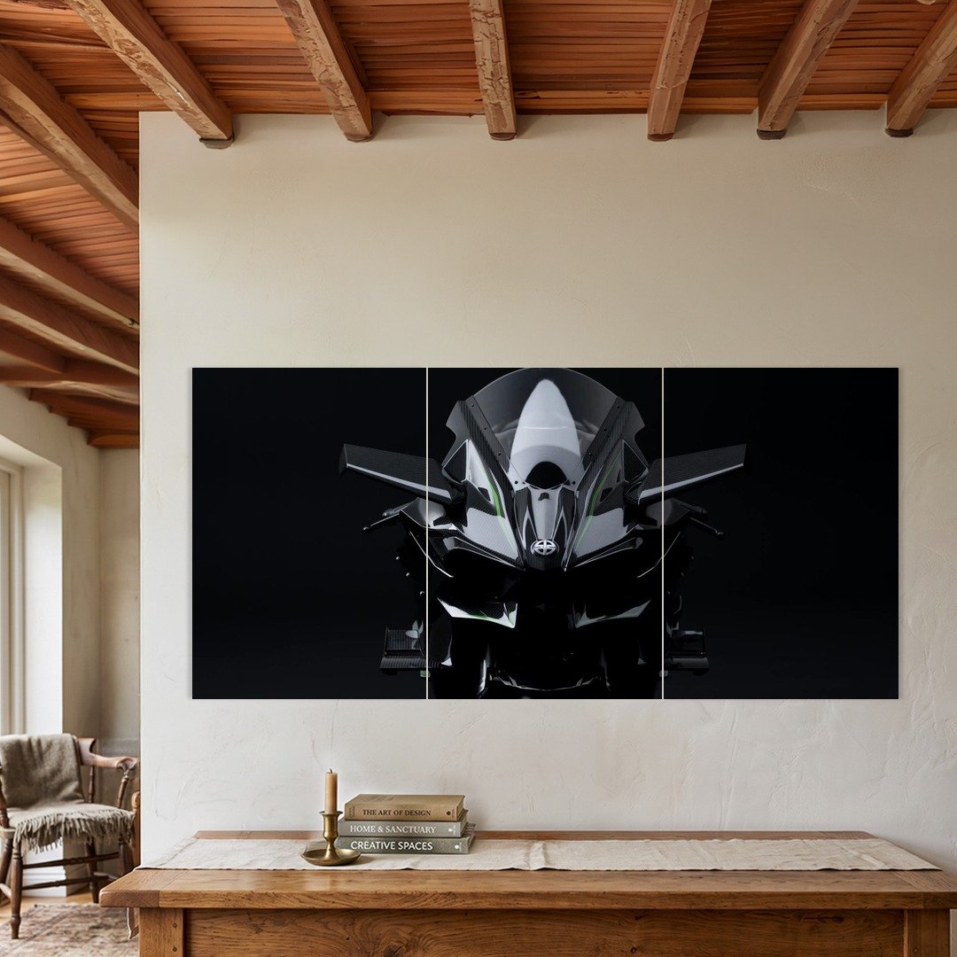 Kawasaki Ninja H2 Front View Split Poster