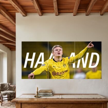 Erling Haaland Yellow Dortmund Split Poster